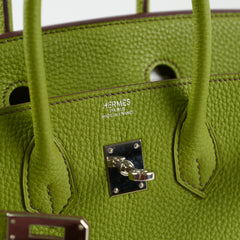 Hermes Birkin 25 Togo PHW Vert Anis M Square Stamp