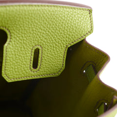 Hermes Birkin 25 Togo PHW Vert Anis M Square Stamp