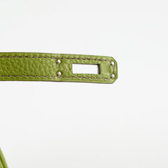 Hermes Birkin 25 Togo PHW Vert Anis M Square Stamp