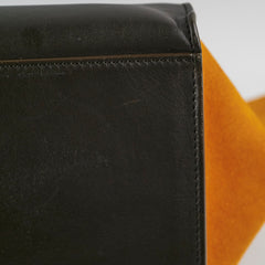 Celine Medium Trapeze TriColour