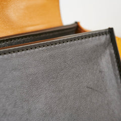 Celine Medium Trapeze TriColour