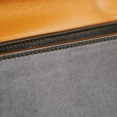 Celine Medium Trapeze TriColour