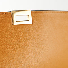 Celine Medium Trapeze TriColour