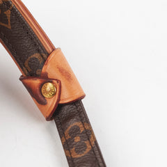 Louis Vuitton Dog Leash Monogram