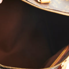Louis Vuitton Speedy 30 Monogram
