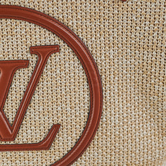 Louis Vuitton Saint Jacques Bag Brown