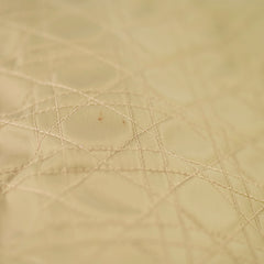 Christian Dior Vintage Lady Dior Bag in Green Cannage Nylon