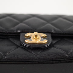 Chanel 22A Mini Flap bag with Gold Coins Double Chain Strap (microchip)