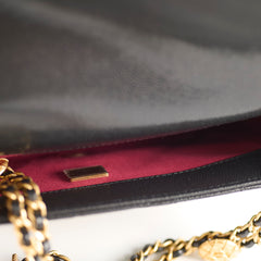 Chanel 22A Mini Flap bag with Gold Coins Double Chain Strap (microchip)