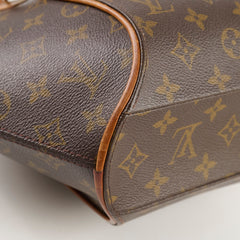 Louis Vuitton PM vintage eclipse bag monogram