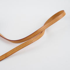 Louis Vuitton Favourite Monogram MM