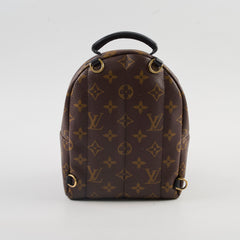 Louis Vuitton Palm Spring Mini Backpack Monogram