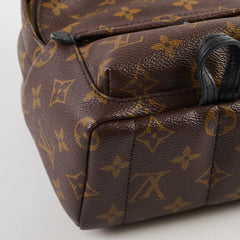 Louis Vuitton Palm Spring Mini Backpack Monogram