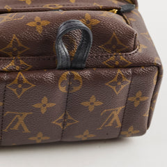 Louis Vuitton Palm Spring Mini Backpack Monogram