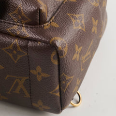 Louis Vuitton Palm Spring Mini Backpack Monogram
