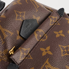 Louis Vuitton Palm Spring Mini Backpack Monogram