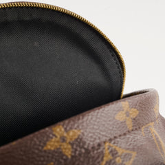 Louis Vuitton Palm Spring Mini Backpack Monogram