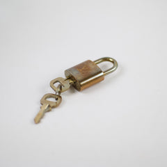 Louis Vuitton Speedy 25 Bandouliere Damier Ebene