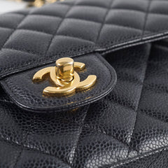 Chanel Caviar Medium Classic Flap Series 19
