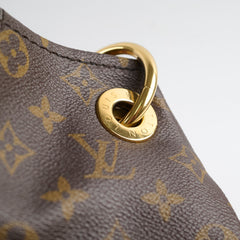 Louis Vuitton Artsy MM Monogram