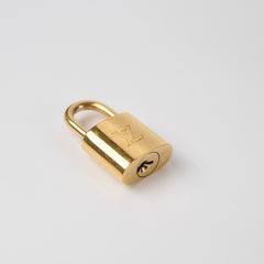 Louis Vuitton Hyde Park Damier Ebene Fuchsia