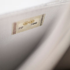 Chanel Metallic Chevron Wallet On Chain WOC Series 22 Series 22