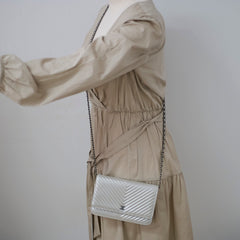 Chanel Metallic Chevron Wallet On Chain WOC Series 22 Series 22