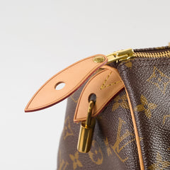 Louis Vuitton Speedy 30 Monogram