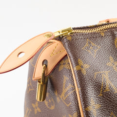 Louis Vuitton Speedy 30 Monogram