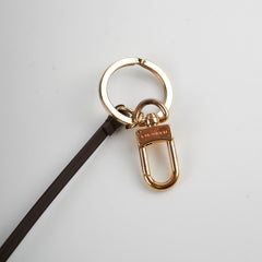 Louis Vuitton Delightful PM Damier Ebene