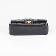 Chanel Black Seasonal Flap Bag