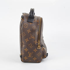 Louis Vuitton Palm Spring Mini Monogram