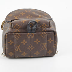 Louis Vuitton Palm Spring Mini Monogram