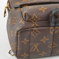 Louis Vuitton Palm Spring Mini Monogram