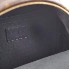 Louis Vuitton Palm Spring Mini Monogram