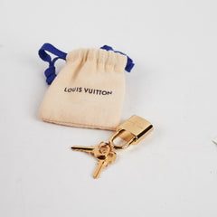 Louis Vuitton Speedy 20 Bandoulière Monogram