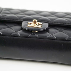 Chanel Mademoiselle Chic Flap Bag