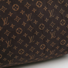Louis Vuitton Speedy 25 Denim Monogram
