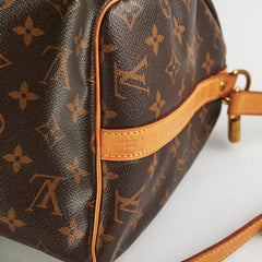 Louis Vuitton Speedy 30  Bandoulière