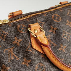 Louis Vuitton Speedy 30  Bandoulière