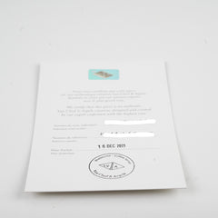 Van Cleef and Arpels Sweet Alhambra Mother of Pearl MOP Necklace