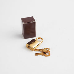 Louis Vuitton Speedy Bandoulière 25 Damier Ebene