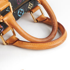 Louis Vuitton Multicolour Speedy 30