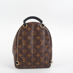 Louis Vuitton Palm Spring Mini Monorgam
