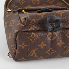 Louis Vuitton Palm Spring Mini Monorgam