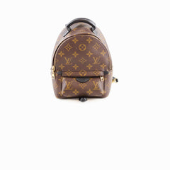 Louis Vuitton Palm Spring Mini Monogram