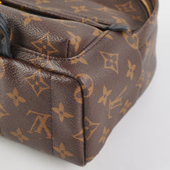 Louis Vuitton Palm Springs Mini Monogram