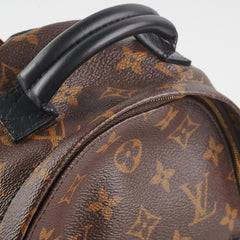 Louis Vuitton Palm Springs Mini Monogram