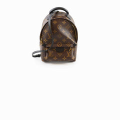 Louis Vuitton Mini Palm Springs Backpack Monogram