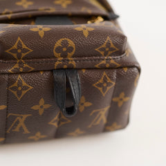 Louis Vuitton Mini Palm Springs Backpack Monogram